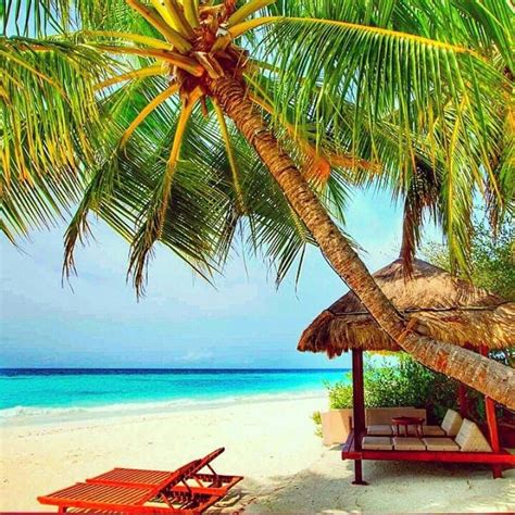 Beautiful Maldives beach | Beach, Beach scenes, Maldives beach