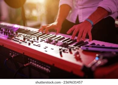 2,232 Keyboardist Performance Images, Stock Photos, 3D objects ...