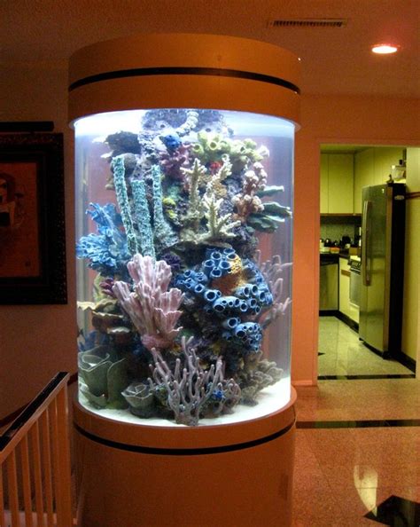 Acrylic Tank Manufacturing of Las Vegas, Nevada | Home of the Hit TV Show TANKED only on Animal ...