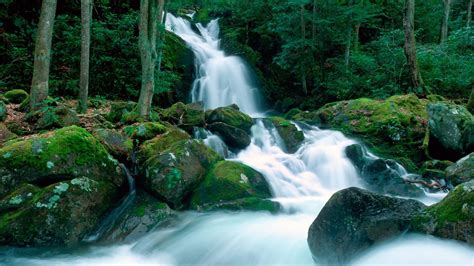 HD Landscapes Nature Falls Great Smoky Mountains Creek North Carolina ...