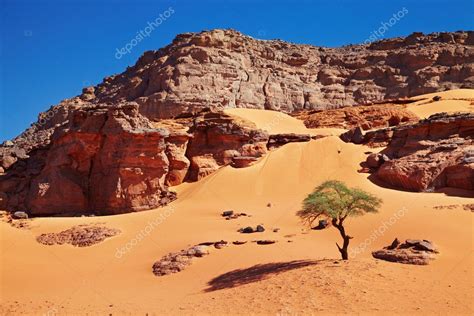 Sahara Desert, Algeria — Stock Photo © muha04 #5576247