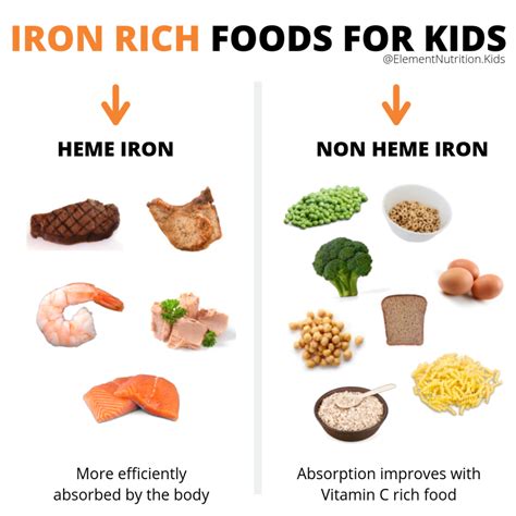 Printable List Of Iron Rich Foods For Anemia