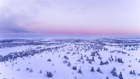 Download Best Quality Snow Covered Field Wallpaper | Wallpapers.com