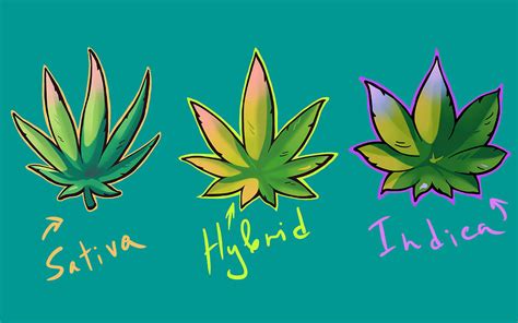 Cannabis sativa, indica and hybrid leaves in graffiti style Digital Art ...