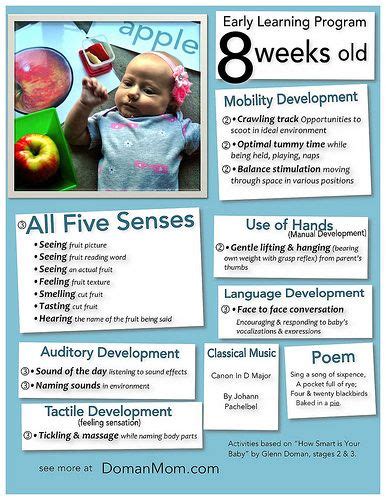 8 Weeks Old Early Learning Program | Early learning, Baby development ...