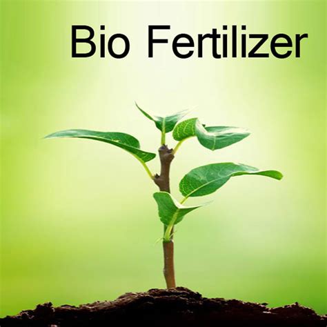 Bio Fertilizer | Products | Dara Chemicals