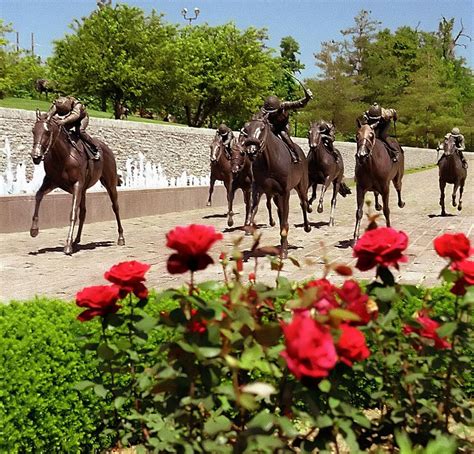 Lexington Kentucky - Throughbred Park | Lexington kentucky, Horses ...