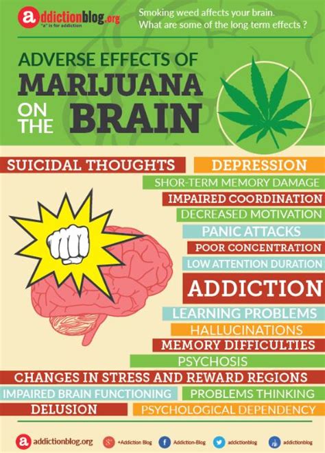 Drug Facts: Marijuana - Bridges Of Hope