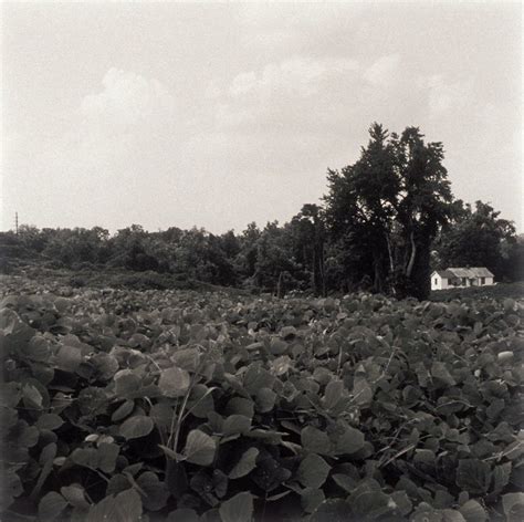 Reidsville, North Carolina, June 2003 - North Carolina Museum of Art