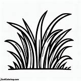 Picture Of Grass Coloring Pages  For Kids – Smart Creative sketch template