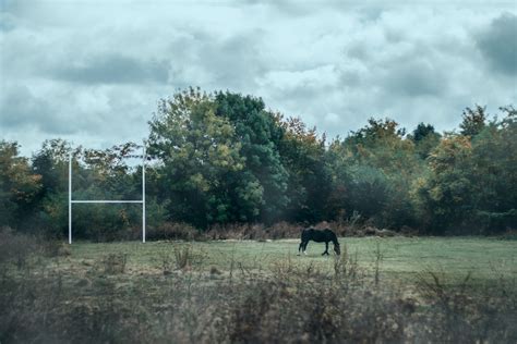 Rugby Field Pictures | Download Free Images on Unsplash