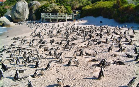 Western Cape Beaches Map // World Beach Guide