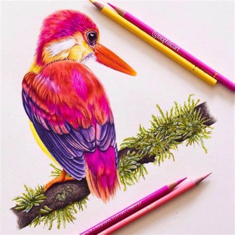 Realistic Animal Pencil Drawings | Pencil drawings of animals, Color pencil art, Bird drawings