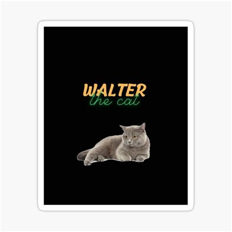 "Walter The Cat Graphic" Sticker by PernellSchultz | Redbubble