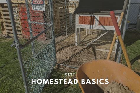 Best Overall Backyard Homesteading Basics