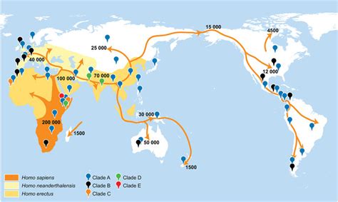 A map of early human migration patterns and the distribution of... | Download Scientific Diagram