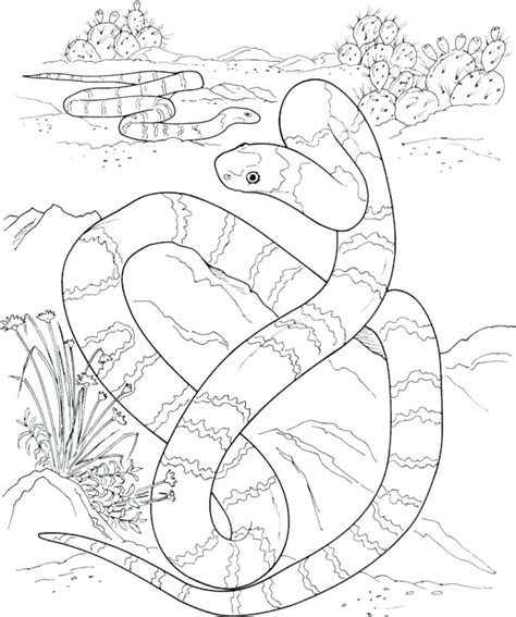 Desert Oasis Coloring Pages at GetColorings.com | Free printable colorings pages to print and color