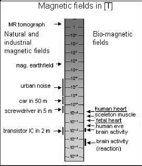 Figure 1 from A Study on MCG Imaging | Semantic Scholar