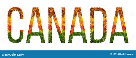 Word Canada Country is Written with Leaves on a White Insulated Background, a Banner for ...