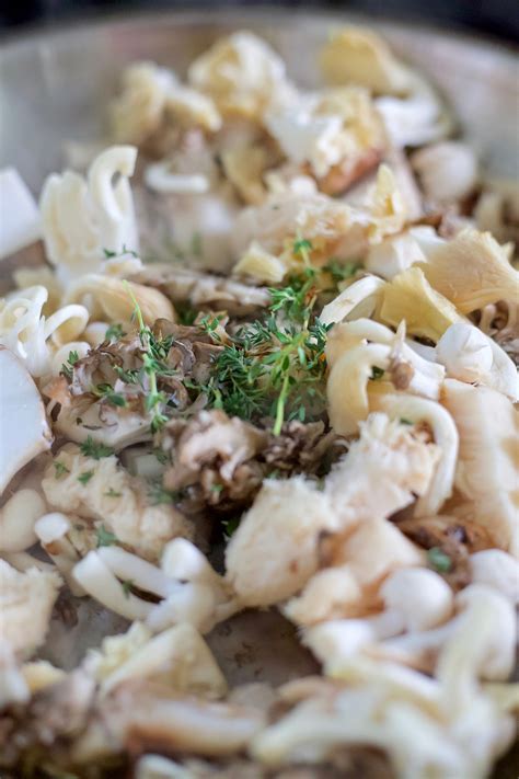 Cooking With Edible Mushrooms: A Beginner’s Guide