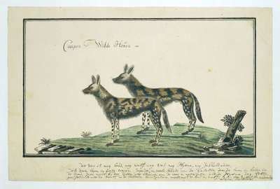 Endangered Species | Europeana