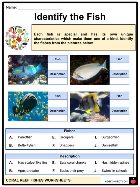 Coral Reef Fish Names