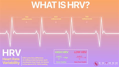 The #1 Guide to Heart Rate Variability | NEW 2024 Research – KomodoTec