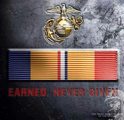 United States Marine, Fleet Marine Force Combat Corpsman, Earned Never ...