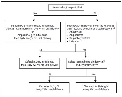 Treatment For Gbs In Urine In Pregnancy - PregnancyWalls