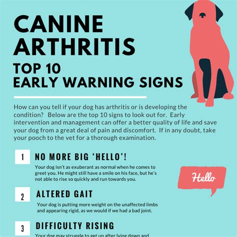 How Do You Know If Your Dog Has Arthritis