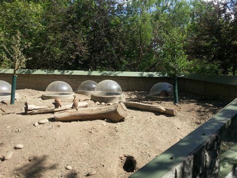 Zoo Boise - 2020 What to Know Before You Go (with Photos) - Tripadvisor