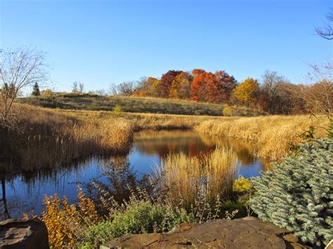 T h e | D e e p | M i d d l e: Fall in Minnesota & Lincoln's Wilderness ...