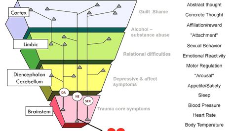 Brain Stem Injury Symptoms - Injury Choices