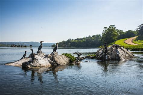 Source of the Nile at Jinja – Jinja, Uganda - Atlas Obscura