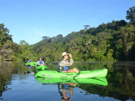 Amazon River Cruise, 7 days | Responsible Travel