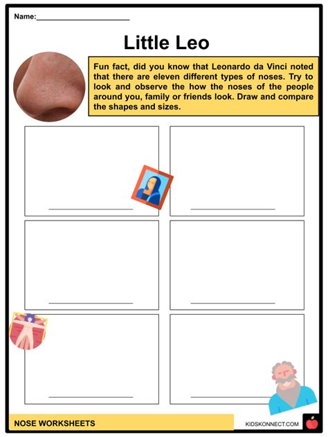 Nose Facts & Worksheets | Functions, Parts, Injuries, Care