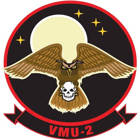 Marine Unmanned Aerial Vehicle Squadron 2 "Night Owls" / VMU-2 : Marine ...