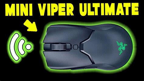 Razer Viper Mini | lupon.gov.ph