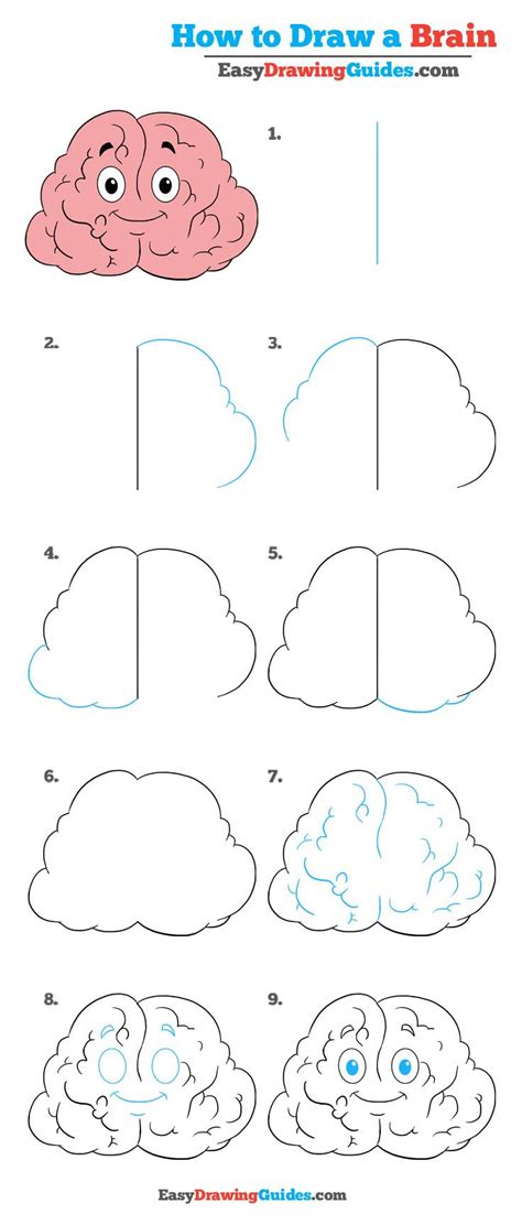 Cartoon Brain Drawing Tutorial