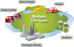 BioFuel_diagram – Kuzminblog