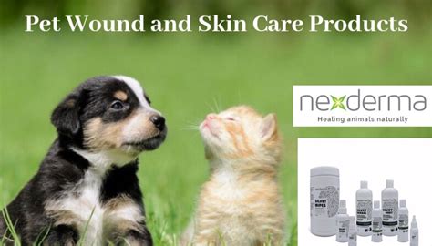 Dog Wound Care Supplies : Disinfection Solution Dog And Cat Medicine Wound Care Products Pet ...