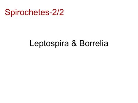 Borrelia Vincenti / O C P Vincent S Angina Dr Meenesh Juveekar Ent Specialist