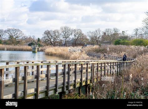 wooden pathway around the Woodberry Down Nature Reserve Reservoir, Nature Reserve, North London ...