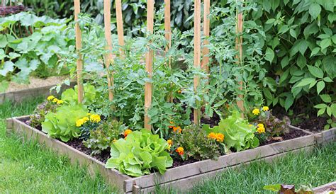 Vegetable Gardening - Learn How to Plan & Start a Vegetable Garden