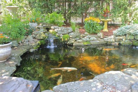 The 8 Main Steps To Creating a Water Garden or Koi Pond to Your Landscaping…