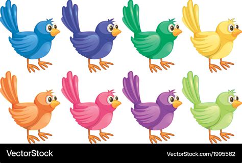 Eight colorful birds Royalty Free Vector Image