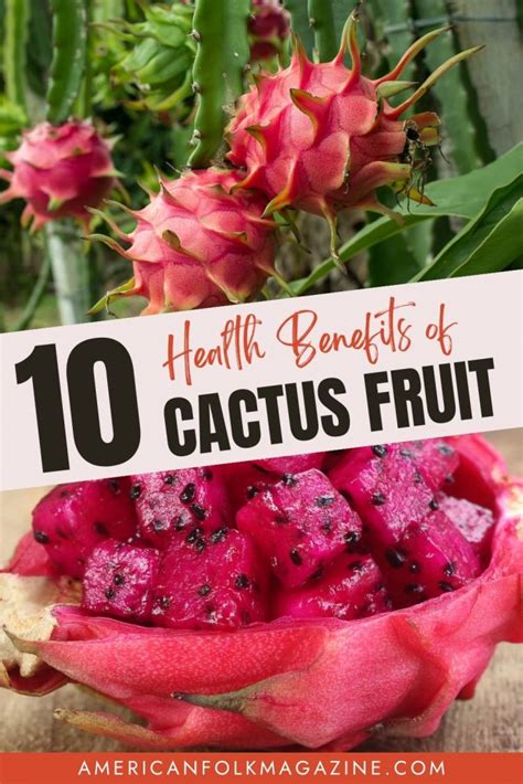 Cactus Fruit Nutrition Facts And 10 Health Benefits