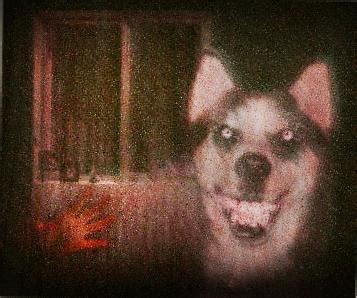 Smiledog.jpg old creepypasta but one of most scariest for me. : r ...