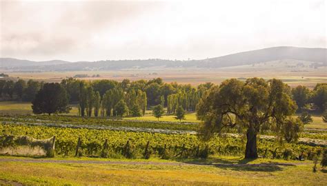 Lake George Winery | Producing award-winning Canberra region wines for over 50 years