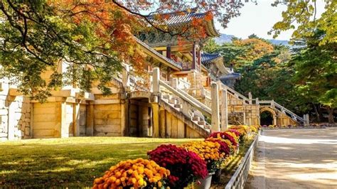 10 Most Famous UNESCO World Heritage Sites to Visit in South Korea